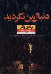 دنبال من نگردید